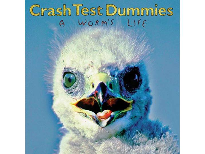 A Worm'S Life