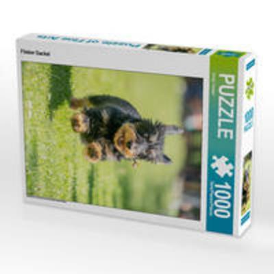CALVENDO Puzzle Flinker Dackel 1000 Teile Lege-Größe 48 x 64 cm Foto-Puzzle Bild von Sonja Tessen