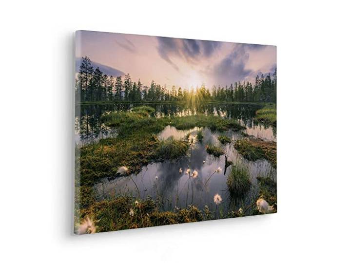 Komar Keilrahmenbild im Echtholzrahmen - Gloomy Swamps - Größe 60 x 40 cm - Bild, Leinwandbild, Landschaftsmotiv, Wohnzimmer, Schlafzimmer