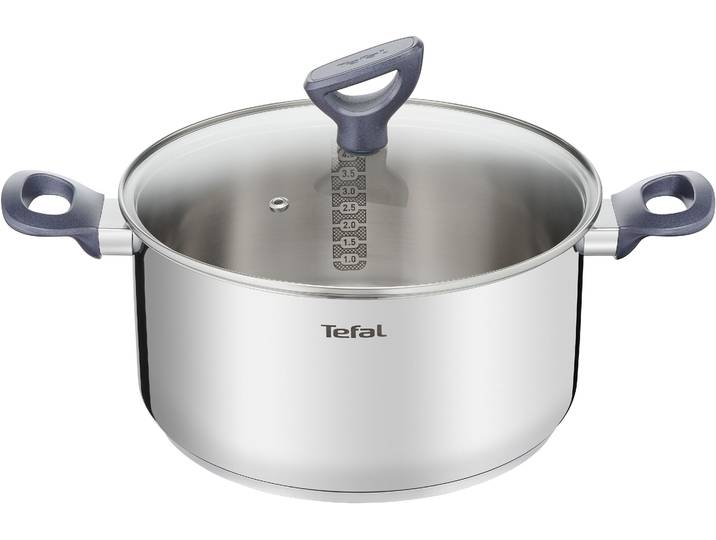 Kochtopf TEFAL Daily Cook , silber (edelstahlfarben), B:25,6cm H:13,3cm L:38,4cm Ø:24cm, Töpfe, Kochtopf, Edelstahl-Topf mit stehendem Deckel,Ausgießer,alle Herdarten,Induktion