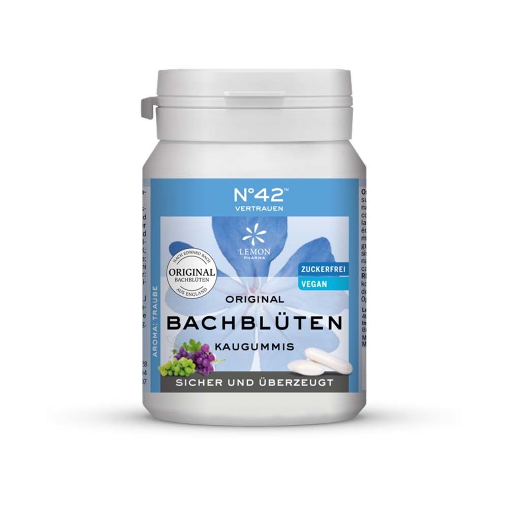 Selbstvertrauen Kaugummi nach Dr.Bach 40 St