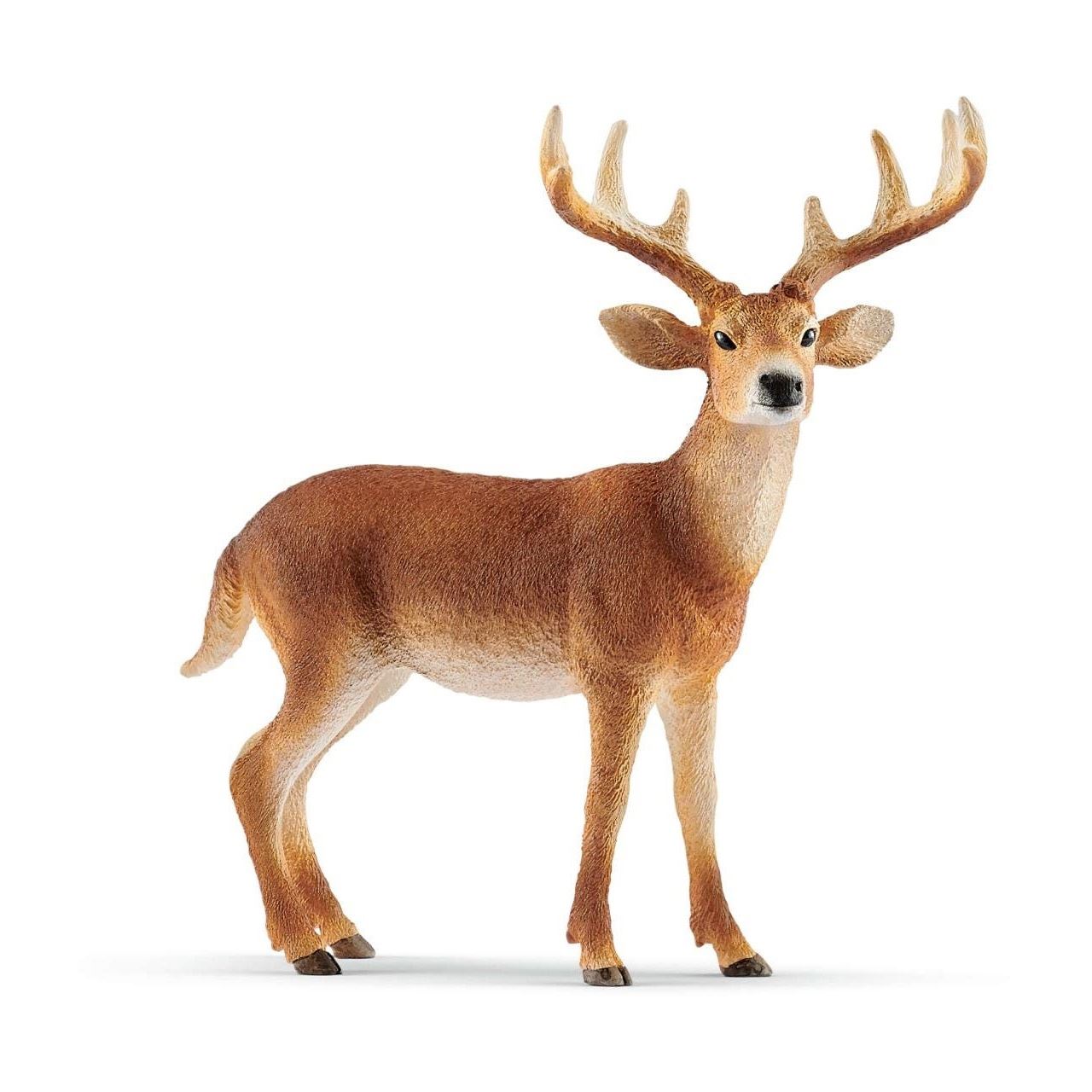 Schleich Wild Life Weißwedelhirsch