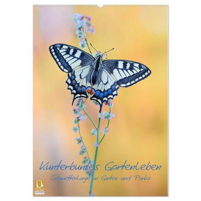 Kunterbuntes Gartenleben - Schmetterlinge in Gärten und Parks (Wandkalender 2026 DIN A2 hoch), CALVENDO Monatskalender