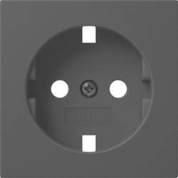 GIRA Abdeckung 4920005 1 St.