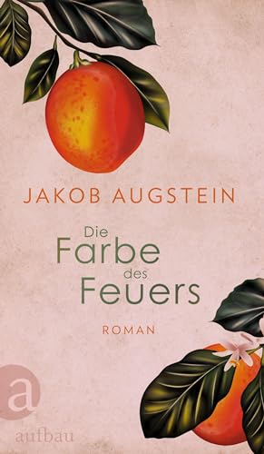Jakob Augstein - Die Farbe des Feuers: Roman - Preis vom 11.10.2026 03:10:56 h