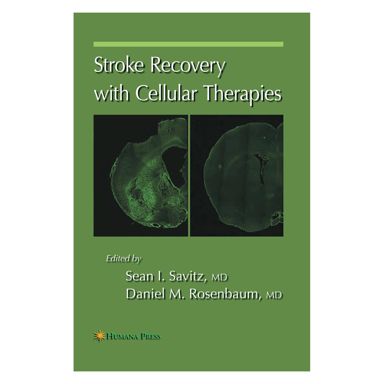 Springer Stroke Recovery with Cellular Therapies (Englisch, Softcover, Daniel M. Rosenbaum, Sean I. Savitz) (55581952)