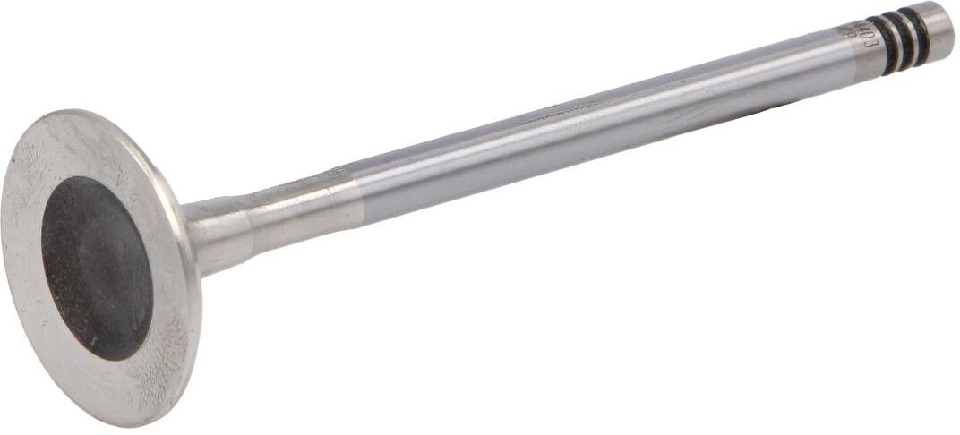 Auslassventil AE V94403