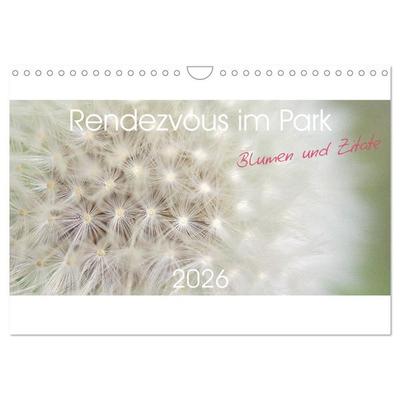 Rendezvous im Park (Wandkalender 2026 DIN A4 quer), CALVENDO Monatskalender
