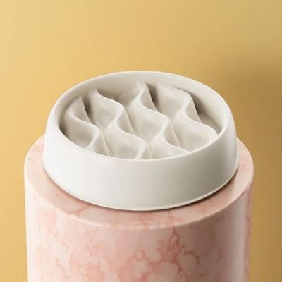 Inspired Finds Anti Splash Slow Feeder Cat Bowl Set With Dual Food & Water Dish white
