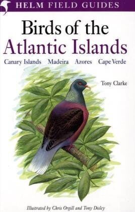 Tony Clarke - Field Guide to the Birds of the Atlantic Islands: Canary Islands, Madeira, Azores, Cape Verde (Helm Field Guides) - Preis vom 17.10.2026 19:25:27 h