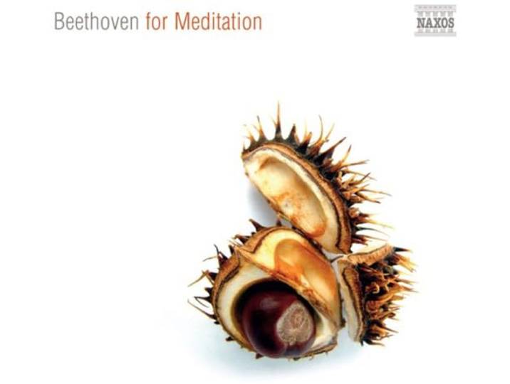 Beethoven For Meditation