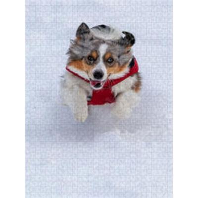 CALVENDO Puzzle Schneepflug | 1000 Teile Lege-Größe 64x48cm Foto-Puzzle für glückliche Stunden