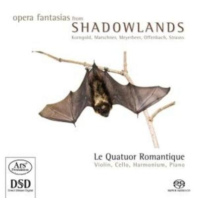 Opernfantasien Aus Der Schattenwelt - Quatuor Romantique, CD