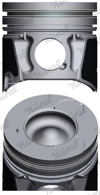 Nüral Kolben 8743670000 Für Peugeot Land Rover