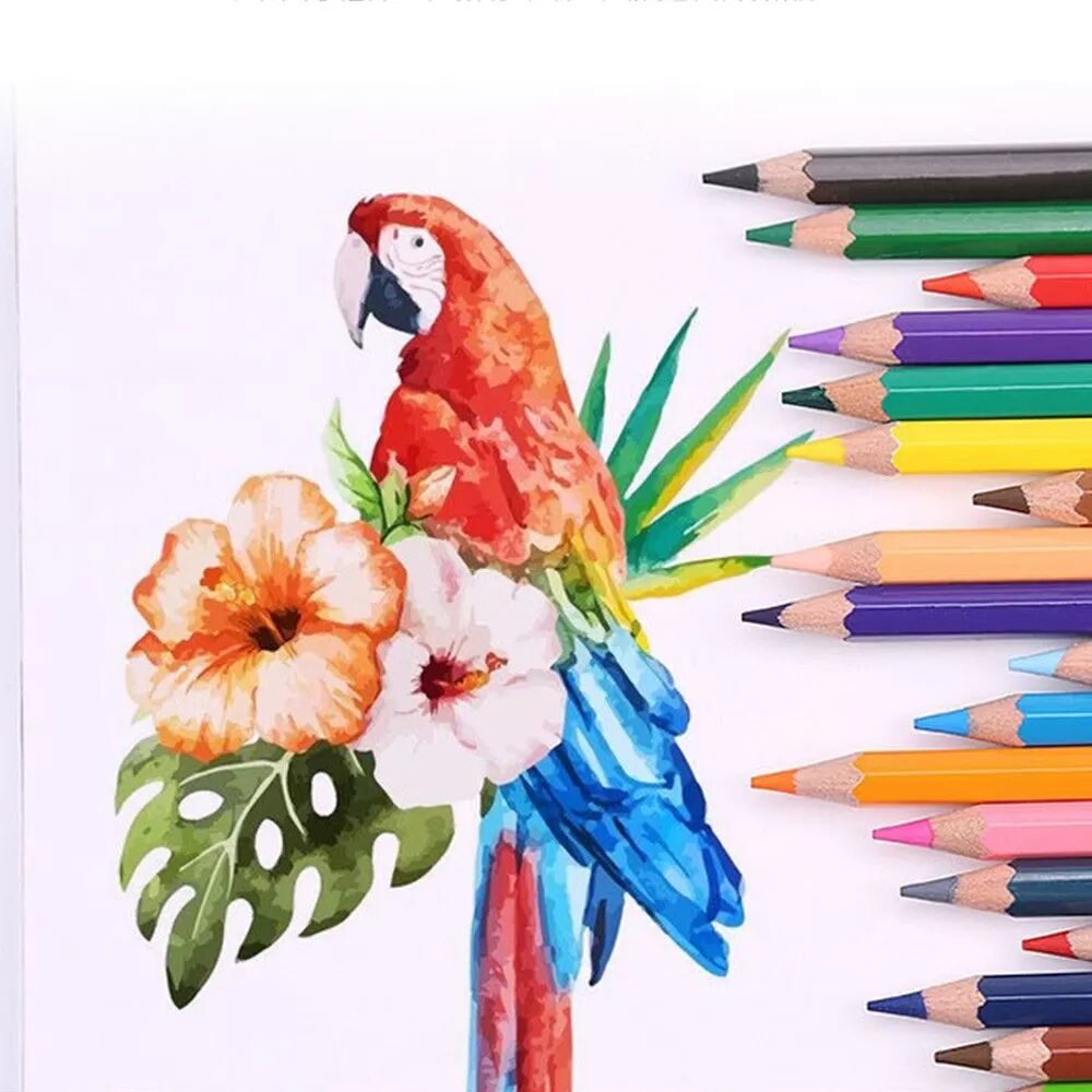 INF Ensemble de crayons de couleur - 36 couleurs pour le dessin et le coloriage