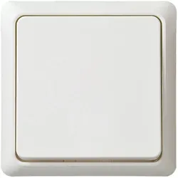 Elso 252104 Taster 10A RENOVIERUNG komplett Schraubklemme reinweiß