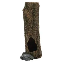 HOBBY Cork Trunk Aquarieneinrichtung Trunk 2 (9,5 x 6,5 x 21 Centimeter)