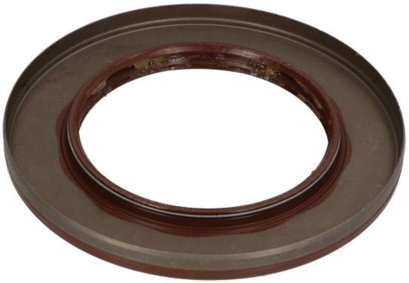 Dichtring, Hinterradnabe ZF 0734300621ZF