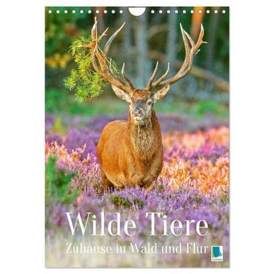 Wilde Tiere: Zuhause in Wald und Flur (Wandkalender 2027 DIN A4 hoch), CALVENDO Monatskalender