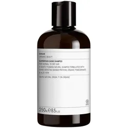 2x Evolve, Shampoo, Superfood Shine Shampoo (Flüssiges Shampoo, 250 ml)