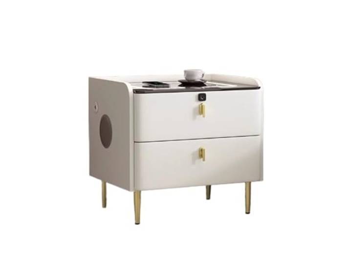 FZL02068LM Zimmer Home Luxus Nachttisch Modern Multifunktionaler Aufbewahrungsschrank mit 2 Schubladen(Mittel)