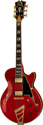 DAngelico Excel SS Trans Cherry Trans Cherry