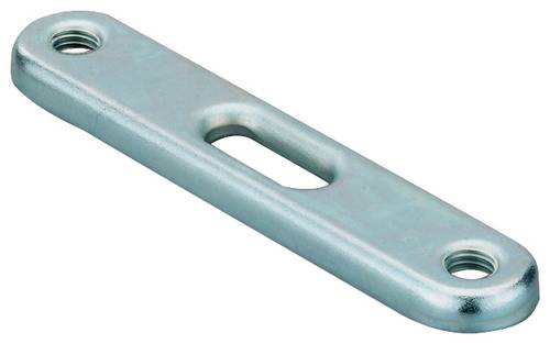 Fischer DPP 65 Doppelhalterplatte 65mm Stahl 79702 50St.