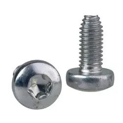 Schneider Electric NSYST30M6S PanelSeT SF/SM-Torxschrauben, selbstschneidend, M6, 12mm, VE: 100 Stück  - 100 Stück