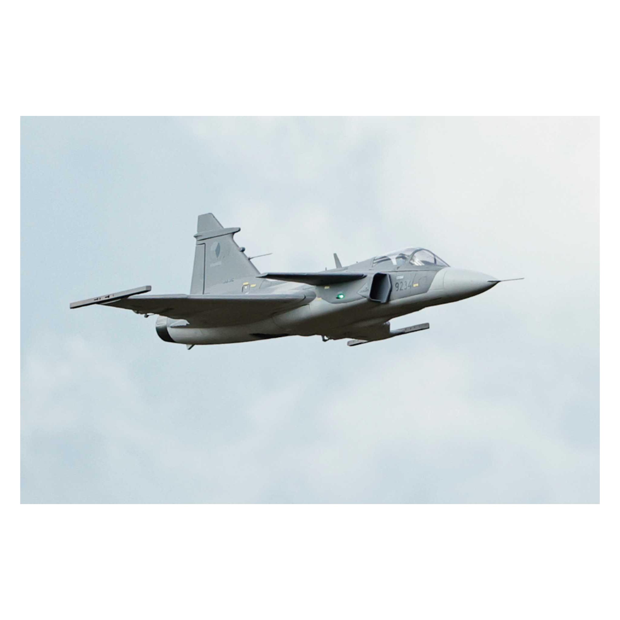 Freewing Jas-39 Gripen grey PNP Jet EDF (Jet) (FJ21825P)
