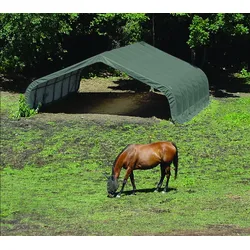 ShelterLogic Folien Weidezelt Zeltgarage Run-In-Shed | Grün | 610x670x320 cm - Grün