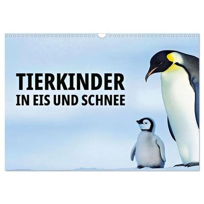 Tierkinder in Eis und Schnee (Wandkalender 2026 DIN A3 quer), CALVENDO Monatskalender