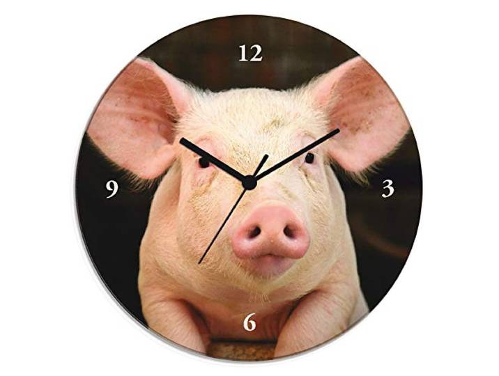 ARTLAND Wanddeko Wanduhr ohne Tickgeräusche Glas Quarzuhr Ø 30 cm Rund Lautlos Tiere Schwein Lustig Hipster Ausgefallen Originell T5XG