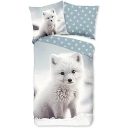 Traumschlaf, Bettwäsche, Polarfuchs (Bettwäsche Set, 135x200 cm, 80x80 cm)