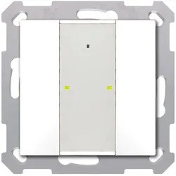 MDT technologies Taster Plus TS 55 2-fach BE-TA55T2.G2