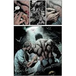 Batman: Die drei Joker (Deluxe-Edition), Comics + Manga von Geoff Johns, Jason Fabok
