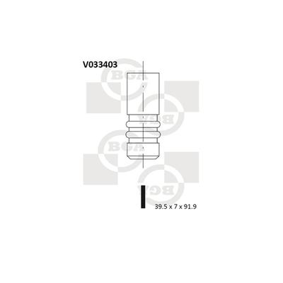 BGA Einlassventil v033403 für VW