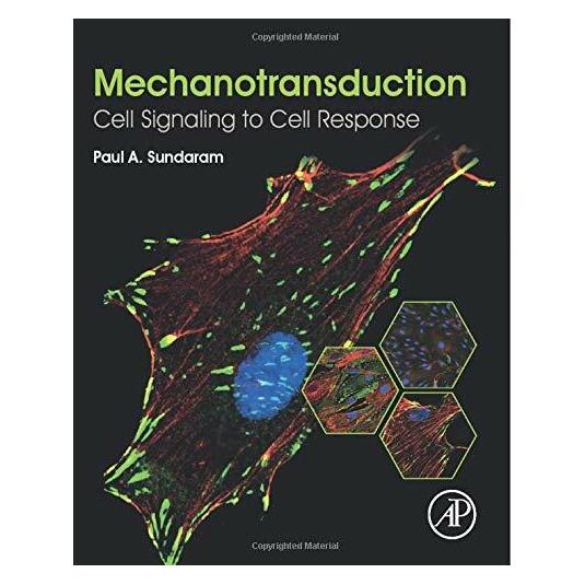 Elsevier Mechanotransduction (Englisch, Paul A. Sundaram) (39004990)