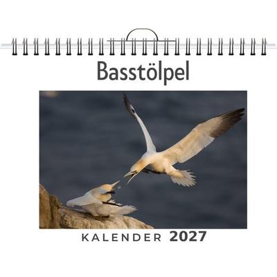 Basstölpel