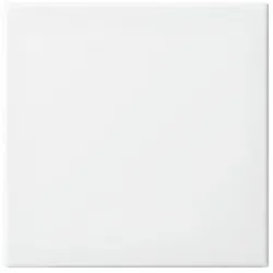 Busch-Jaeger Wippe aws Busch-balance SI 2546-914