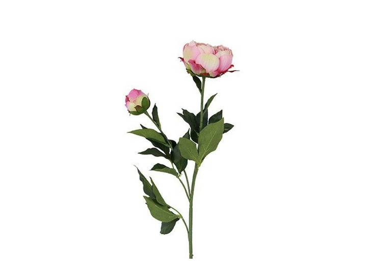 Countryfield zijden Paeonia Dian crème