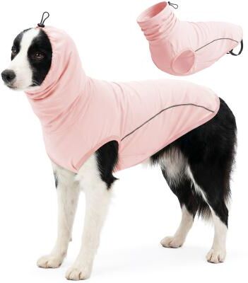 Fusion Finds Dog Cooling Shirt With UV Protection Breathable Summer Pet Clothing For Dogs & Cats pink xxxl