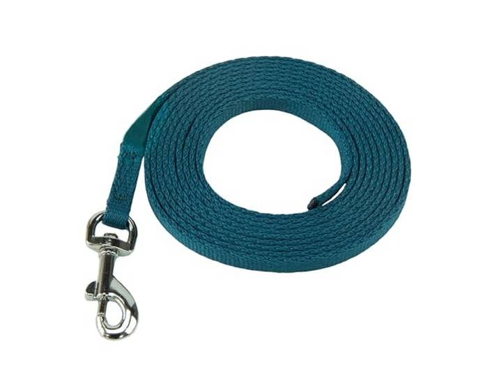Coachi Puppy & Mini Trainingslijn 2.5m