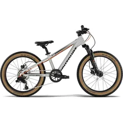 Eightshot Coady 20 Disc grau 2026 - 20" - 26 cm