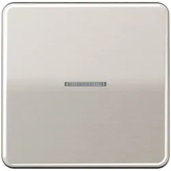 Jung Taster 1fach BT CD 17101 PT