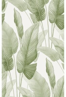 Seabrook Designs Mantra Unpasted Wallpaper