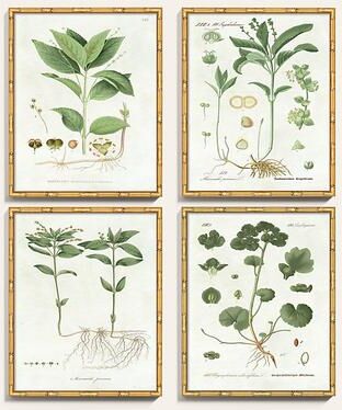 "Pictures of Nordic Flora Art - Print IV, 22"" x 18"" - Ballard Designs"