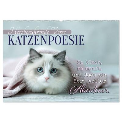 Katzenpoesie - Herzberührende Verse (Wandkalender 2027 DIN A2 quer), CALVENDO Monatskalender