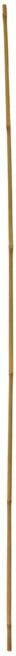 floraworld Bâtons de Tonkin lot de 10 150 cm (011001)