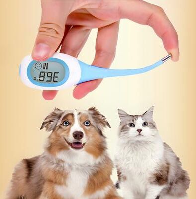 Happy Pet Pantry Digital Veterinary Pet Thermometer For Dogs And Cats Fast & Accurate Pet Thermometer Tool Digital Veterinary Pet Thermometer For Dogs And Cats Fast & Accurate Pet Thermometer Tool