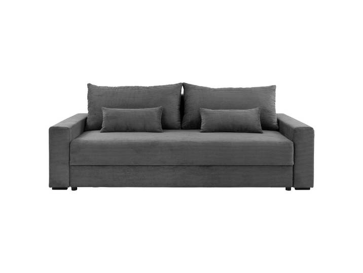 Schlafsofa, Dunkelgrau, 233x108x92 cm, Textil, Liegefunktion & 2-Sitzer, Modern, Carryhome